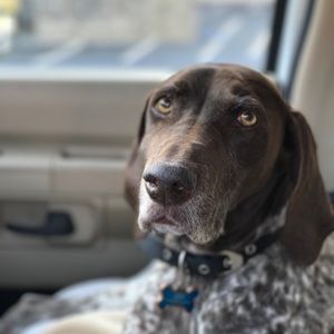 Meet your Posher, Trish